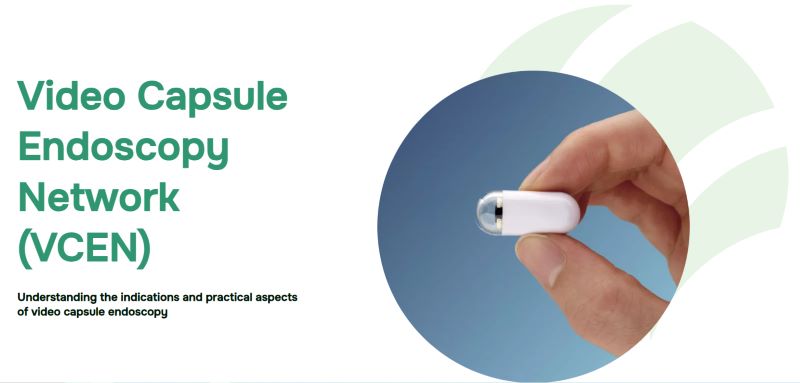 Fostering Education in Capsule Endoscopy: Insights from the WEO VCEN Webinar Series